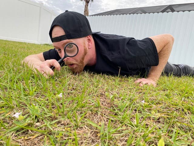 Florida's new nightmare called the New Guinea flatworm, covered in toxins and housing dangerous parasites may be lurking in your backyard.