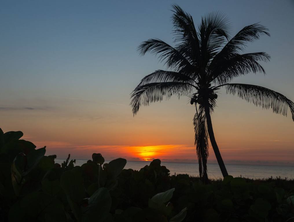 A Florida sunset. Now, the experts at USA Today are praising one magical Florida beach as the best in the state.