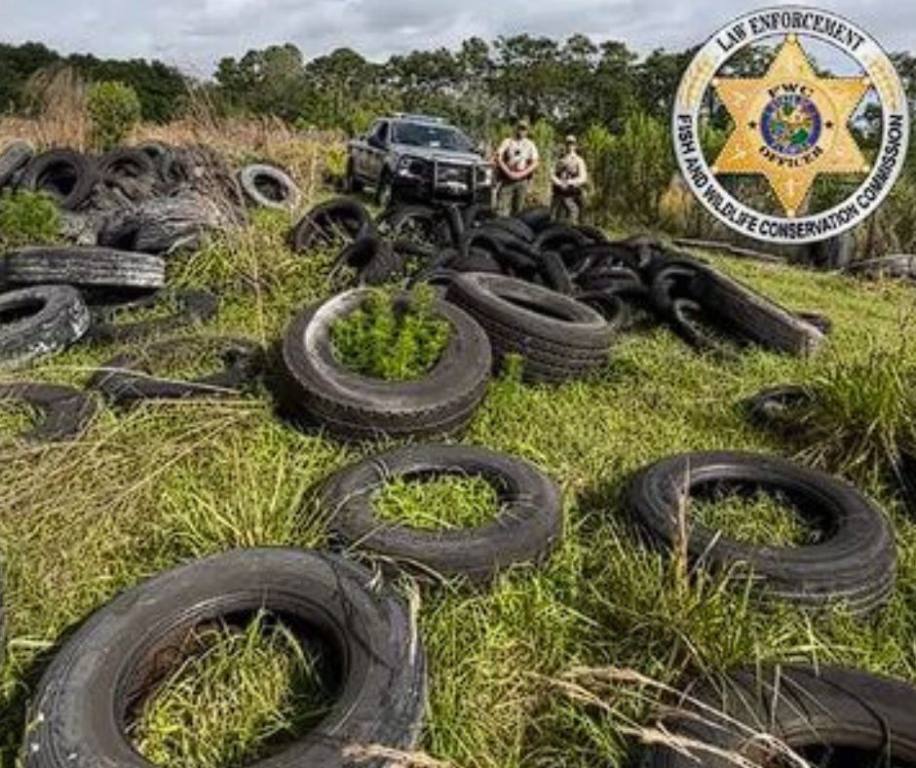 Here we have a Florida man arrested for illegally dumping tires, shooting at an alligator from his truck, and multiple other offenses.