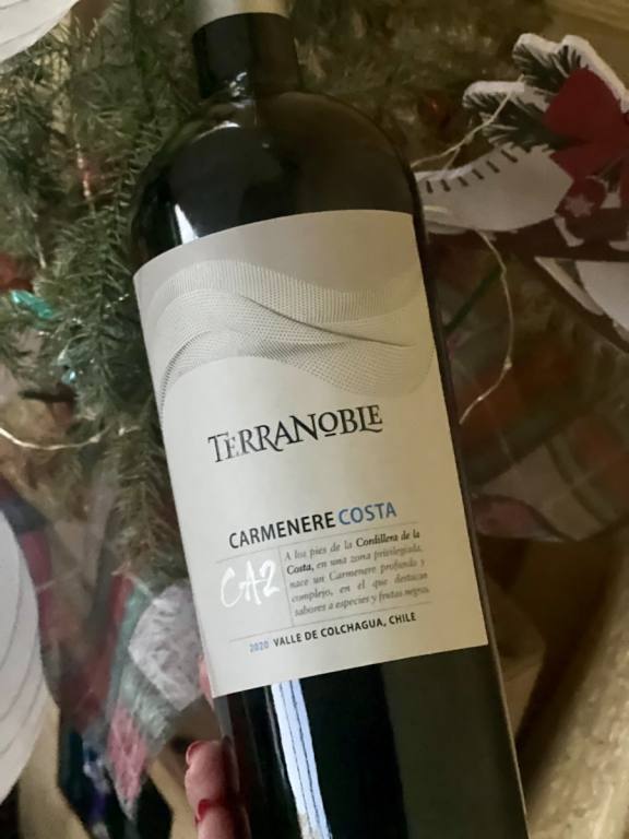 Bottle of TerraNoble Carmenere Costa