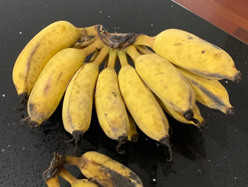 If you grow your own bananas, I recommend the "ice cream" ones