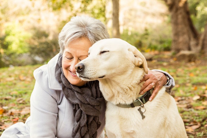 Senior woman in the park with a dog on an autumns day