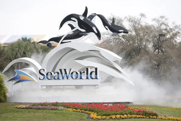 Halloween 5k Coming To SeaWorld Orlando