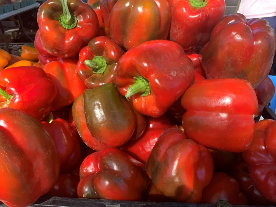 a bin loaded with beautiful red bell peppers at a farmer's market, in Lee County this weekend.