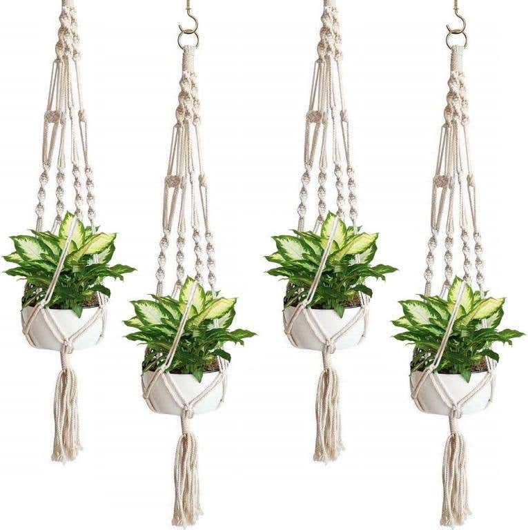 White macrame plant hangers to help revive your dying plants