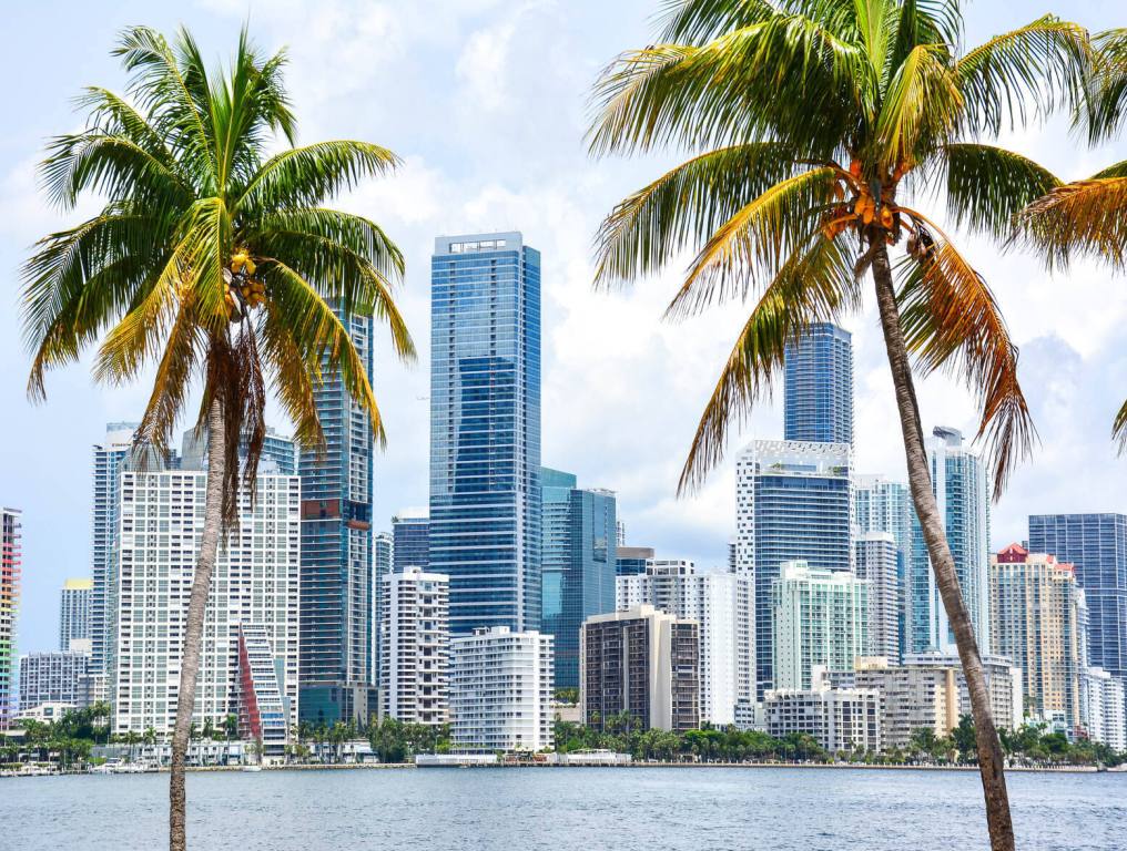 Report Shows ‘Riskiest Cities to Own a Home’ : 4 Are In Florida - a photo of miami through palm trees on a sunny day.