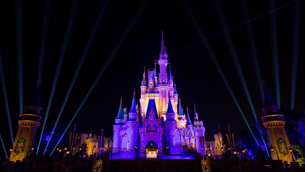 Disney World Magic Kingdom castle at night