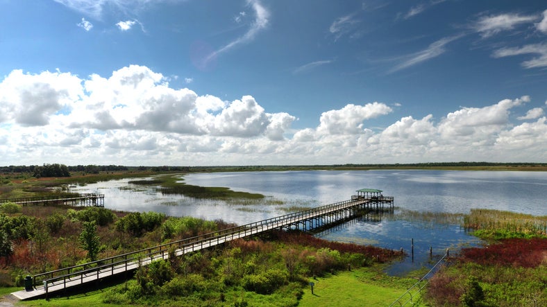 Lake Tohopekaliga. A great spot for Florida license free fishing weekend