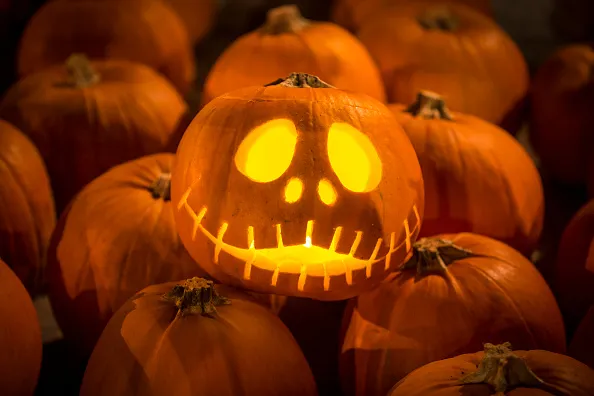 Installation Of 3,000 Pumpkins Unveiled In London


Meanwhile, A Cape Coral family faced Halloween heartbreak after thieves stole and destroyed their festive decorations.