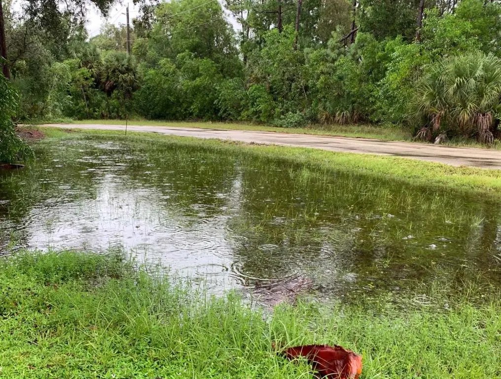 Flooded Beasley yard