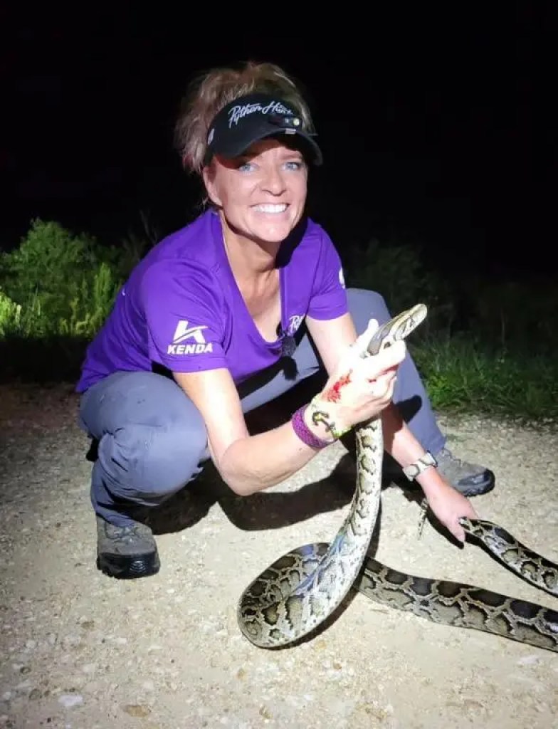 Two TV shows, 12 pythons, happy clients, and Dave and I caught 3 in just an hour! 🐍 Plus a rattlesnake, mud snake, tons of water snakes, and even a rabbit (a big deal since the pythons have eaten most of them).