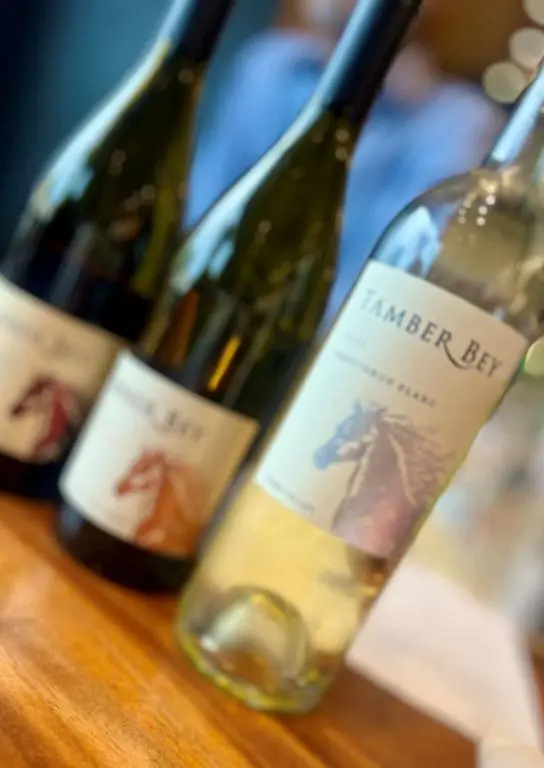 Three bottles of wine lined up diagonally on a table